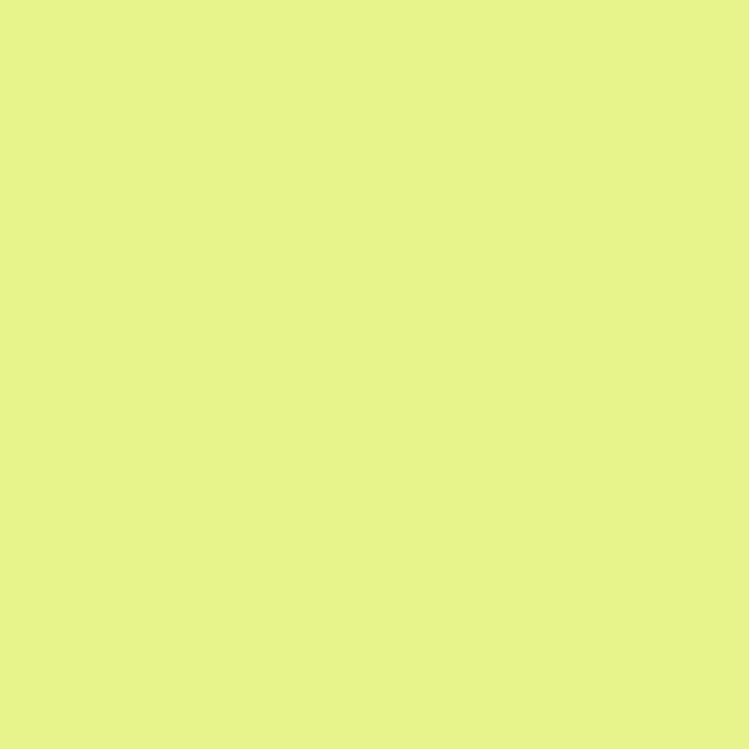 Key-lime-background-image.webp